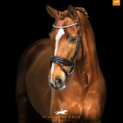 Schockemohle Manhattan Double Bridle