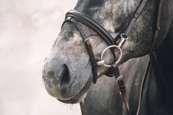 Schockemohle Stuttgart Bridle