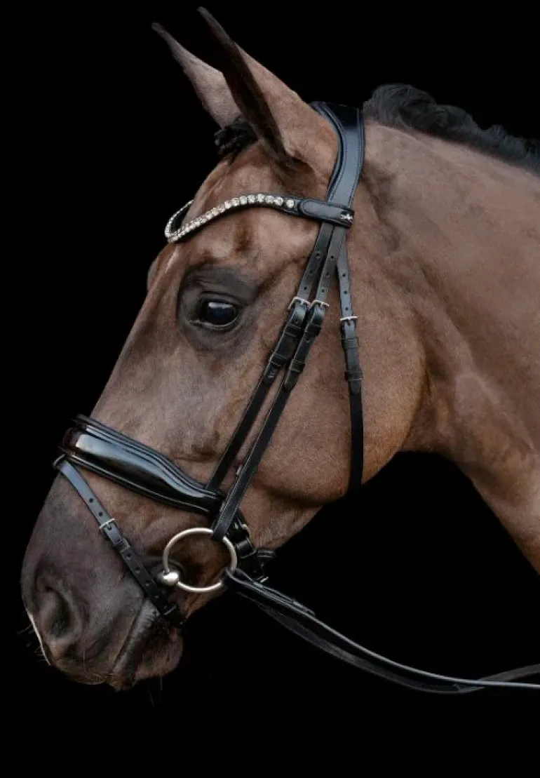 Schockemole Sienna Bridle