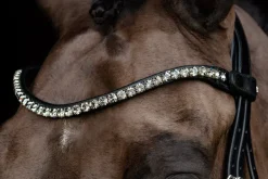 Schockemole Sienna Bridle