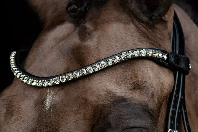 Schockemole Sienna Bridle