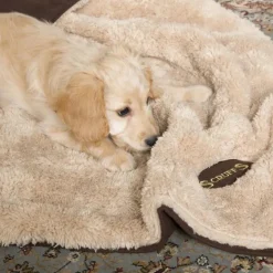 Scruffs Snuggle Blanket