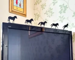 ShadowShapes Pony Club Series