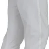 Shires Aubrion Men's Walton Breeches