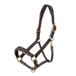 Shires Velociti GARA Leather Travel Headcollar