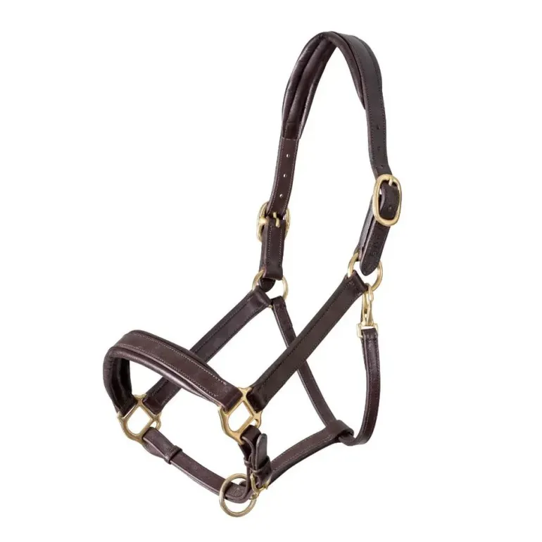 Shires Velociti GARA Leather Travel Headcollar
