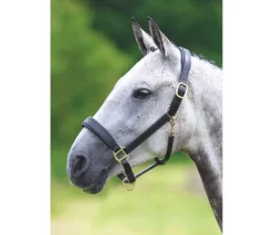 Shires Velociti GARA Leather Travel Headcollar
