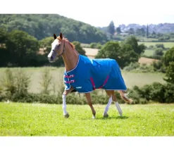 Tempest Original Lite Turnout Rug